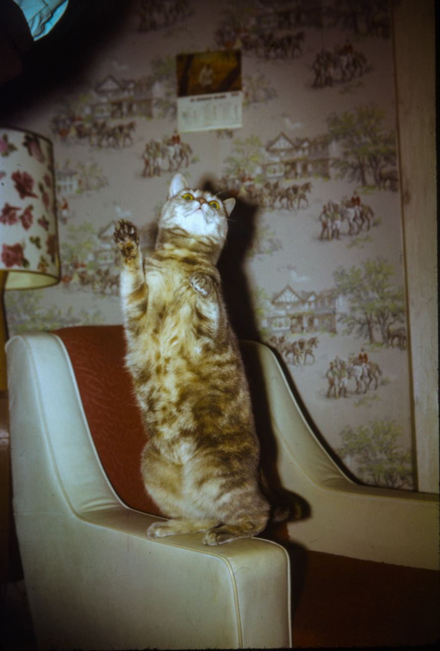 Deadphotographers 27